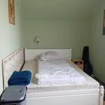 Rent 1 bedroom house of 25 m² in Debrecen