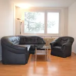 Rent 2 bedroom apartment of 42 m² in Praha