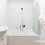 Rent 2 bedroom apartment in Praha 3