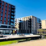 Rent 1 bedroom flat in Salford