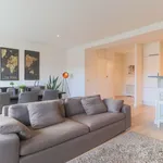 Rent 1 bedroom apartment in Kortrijk