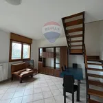 Rent 6 bedroom apartment of 85 m² in Ferrara