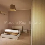 Rent 2 bedroom apartment of 50 m² in San Nicola La Strada