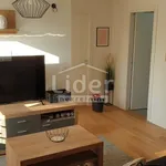 Rent 3 bedroom apartment of 55 m² in Grad Rijeka