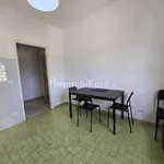 Rent 5 bedroom apartment of 110 m² in Modena