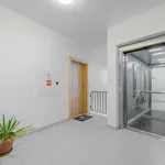 Rent 3 bedroom apartment of 80 m² in Capital City of Prague