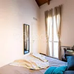 Rent 1 bedroom apartment of 40 m² in Milano