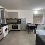 Rent 2 bedroom apartment of 40 m² in Modena