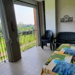 Rent 3 bedroom apartment of 95 m² in Milan