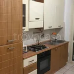 Rent 3 bedroom apartment of 75 m² in Torino