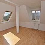 Rent 2 bedroom apartment of 51 m² in Chemnitz