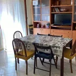 Rent 4 bedroom apartment of 90 m² in Terracina