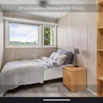 Rent 3 bedroom apartment of 47 m² in Trondheim