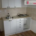 Rent 1 bedroom apartment in Vsetín