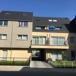 Rent 2 bedroom apartment in Lebbeke