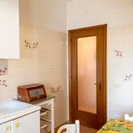 Rent 1 bedroom apartment in Rome