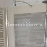 Rent 2 bedroom apartment of 40 m² in Turin