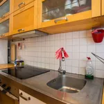 Rent a room of 210 m² in brussels