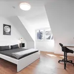 Rent 3 bedroom apartment of 90 m² in Düsseldorf