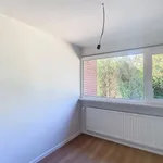 Rent 4 bedroom house in Tervuren