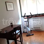 Rent 4 bedroom apartment of 90 m² in Ancona