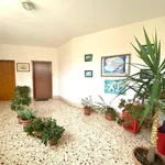 Rent 3 bedroom apartment of 120 m² in Palermo