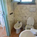 Rent 4 bedroom house of 100 m² in Montalto di Castro