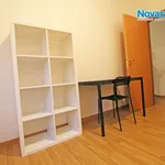 Rent 3 bedroom apartment of 70 m² in Novara