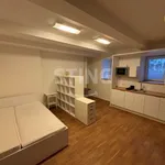 Rent 1 bedroom apartment in Ostrava