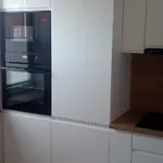 Rent 3 bedroom apartment of 70 m² in Włocławek