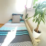 Miete 1 Schlafzimmer wohnung von 12 m² in Hürth