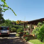 Villa in affitto a Scisciano via Alveo Somma, giardino privato, terrazzo, caminetto - TrovaCasa