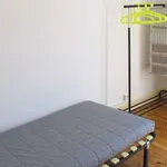 Rent 4 bedroom apartment in Coimbra