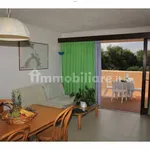 Rent 3 bedroom apartment of 60 m² in Olbia