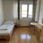 Rent 1 bedroom house in Haag