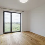 Pronájem domu 175m² s pozemkem 878m²