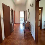 Rent 2 bedroom apartment of 120 m² in Pisa