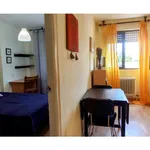 P.º Bajada del Río, Salamanca - Amsterdam Apartments for Rent