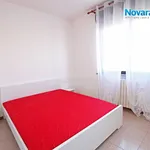 Rent 2 bedroom apartment of 36 m² in Novara