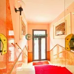 Rent 2 bedroom apartment of 55 m² in Turin