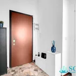 Rent 1 bedroom apartment of 45 m² in Sesto San Giovanni