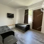 Rent 10 bedroom house of 350 m² in Kecskemét