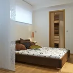 Rent 1 bedroom apartment of 60 m² in Praha 2