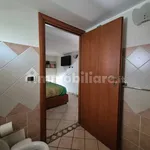 Rent 2 bedroom apartment of 60 m² in Catanzaro