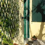 Rent 3 bedroom house of 50 m² in Bardolino