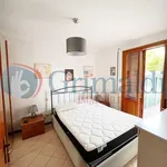 Rent 2 bedroom apartment of 50 m² in Roma