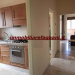 Rent 2 bedroom apartment of 64 m² in Velletri