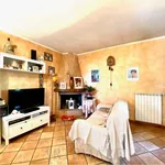 Rent 4 bedroom house of 80 m² in Pietrasanta