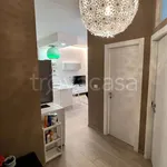 Rent 2 bedroom apartment of 50 m² in Torino