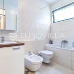 Rent 4 bedroom apartment of 146 m² in Zagreb